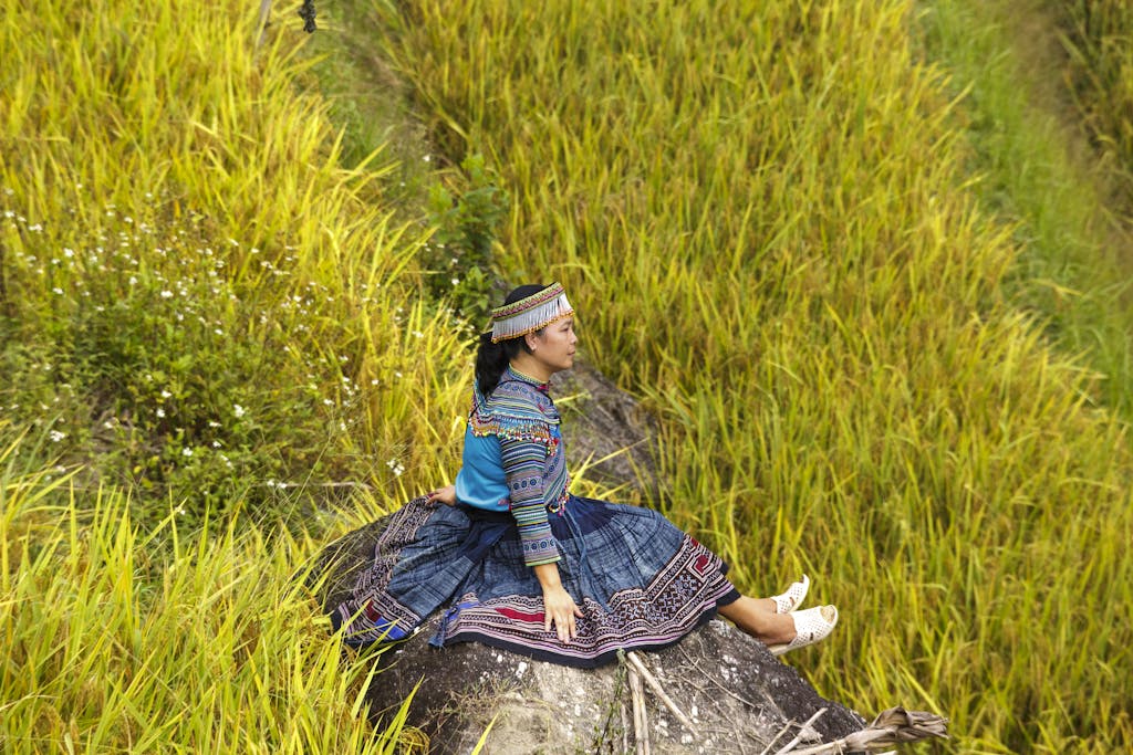 Dampfreis  A woman wearing traditional attire sitting on a rock in a vibrant, lush field.