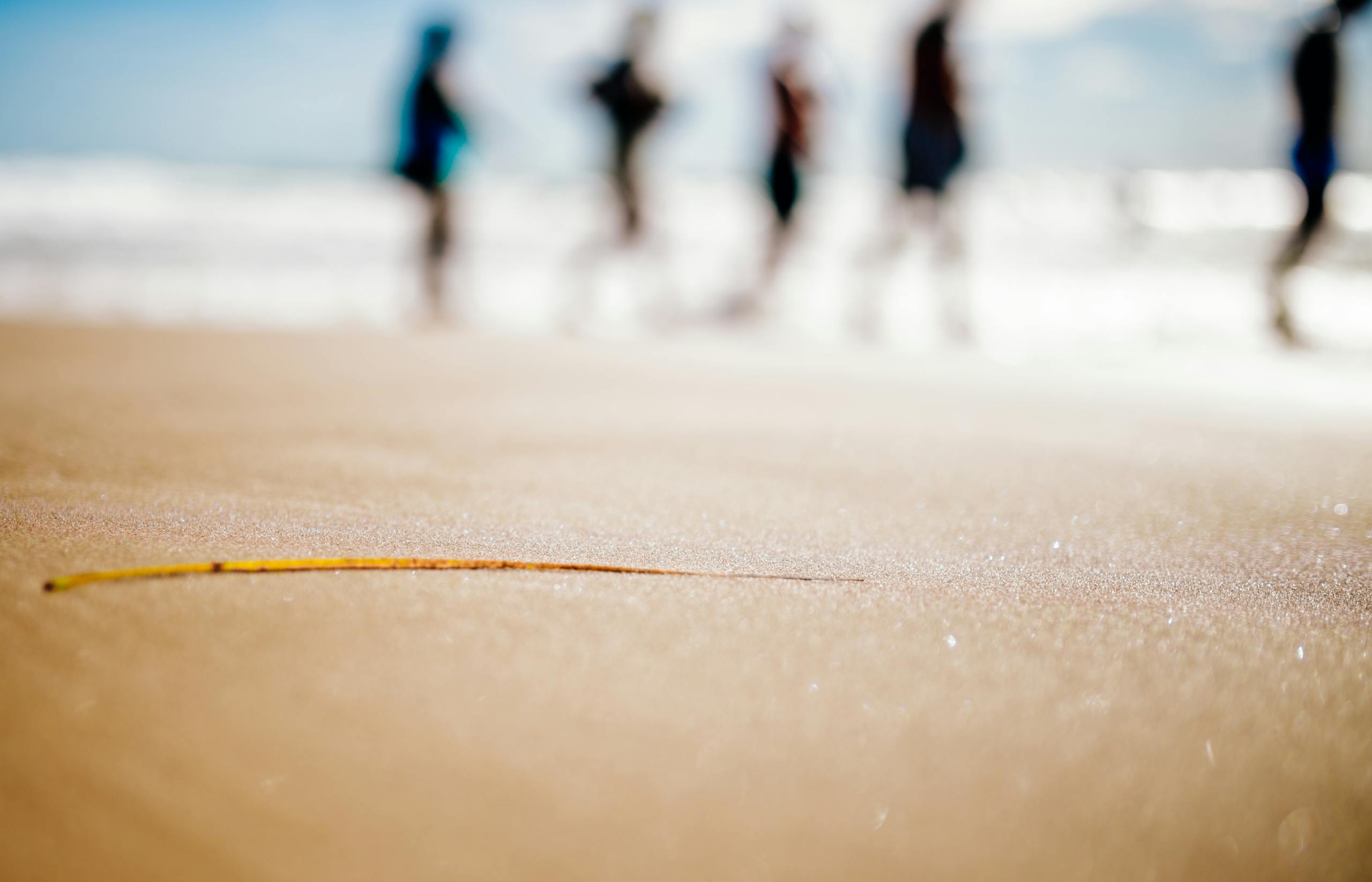 Miami Dolphins Blurred people silhouettes on a sunny beach with a sandy foreground.