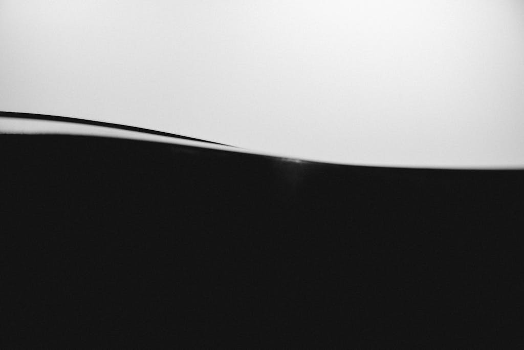 Voozon Minimalist abstract black and white image showcasing smooth wave-like forms.