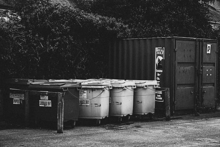 Bin Matcha Monochrome image of trash bins and container in an urban setting.