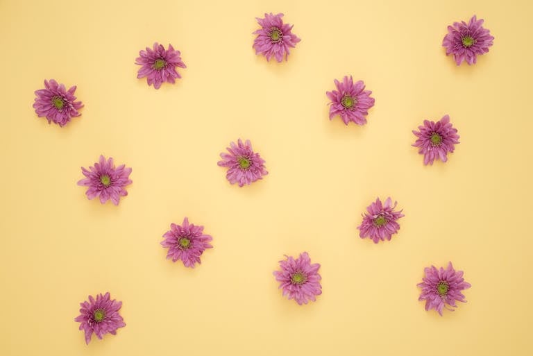 Herbciepscam Scattered purple daisies on a pastel yellow background creating a floral pattern.