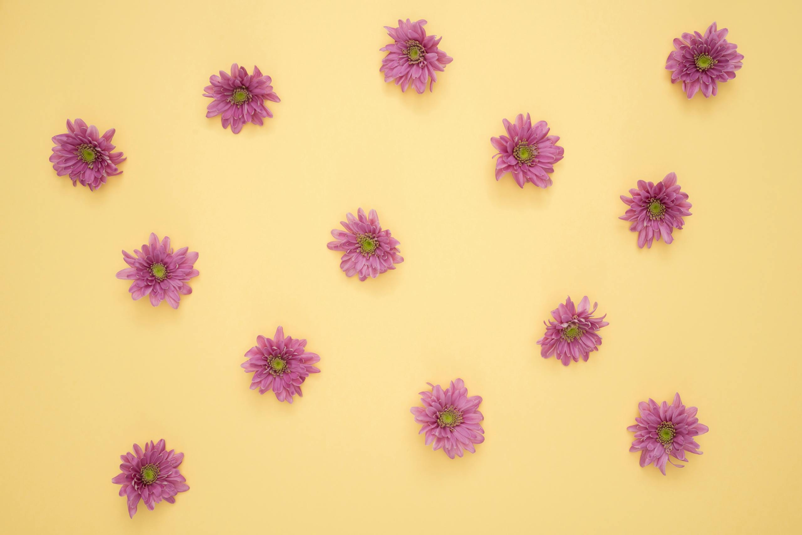 Herbciepscam Scattered purple daisies on a pastel yellow background creating a floral pattern.