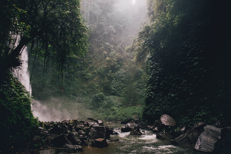 Valplekar Serene jungle scene in Bali with a stunning waterfall and vibrant greenery.