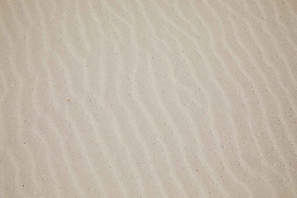 Voozon Top view of empty dry plain surface of beach covered with sand in daytime